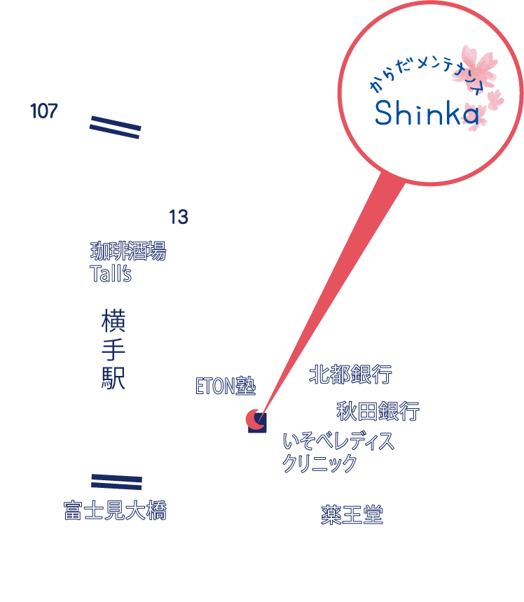 Shinka - マップ